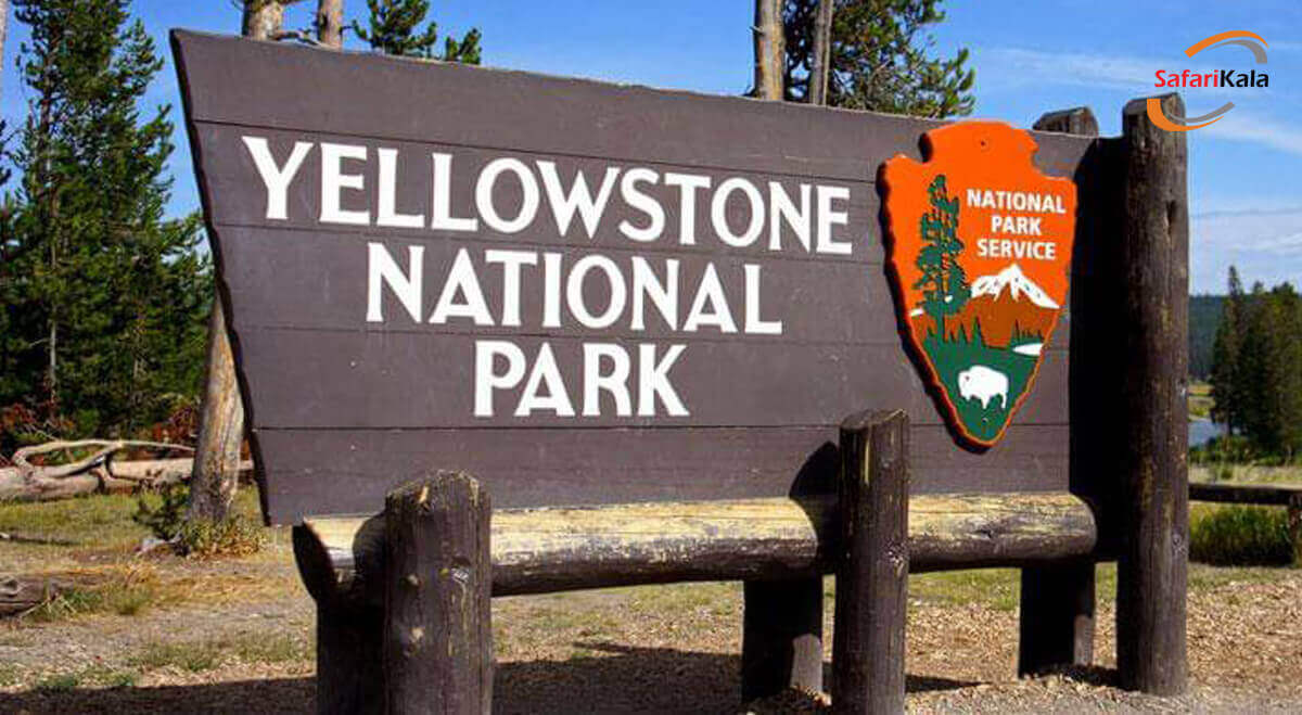 پارک ملی یلواستون
