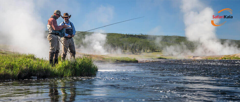 پارک یلواستون