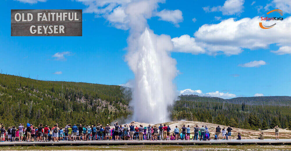 پارک ملی یلواستون