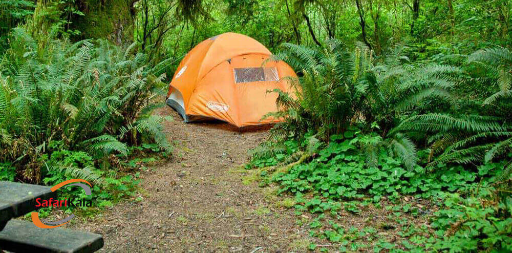 پارک ملی یلواستون