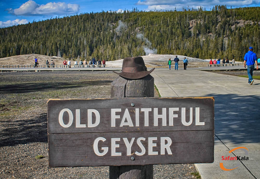 پارک یلواستون