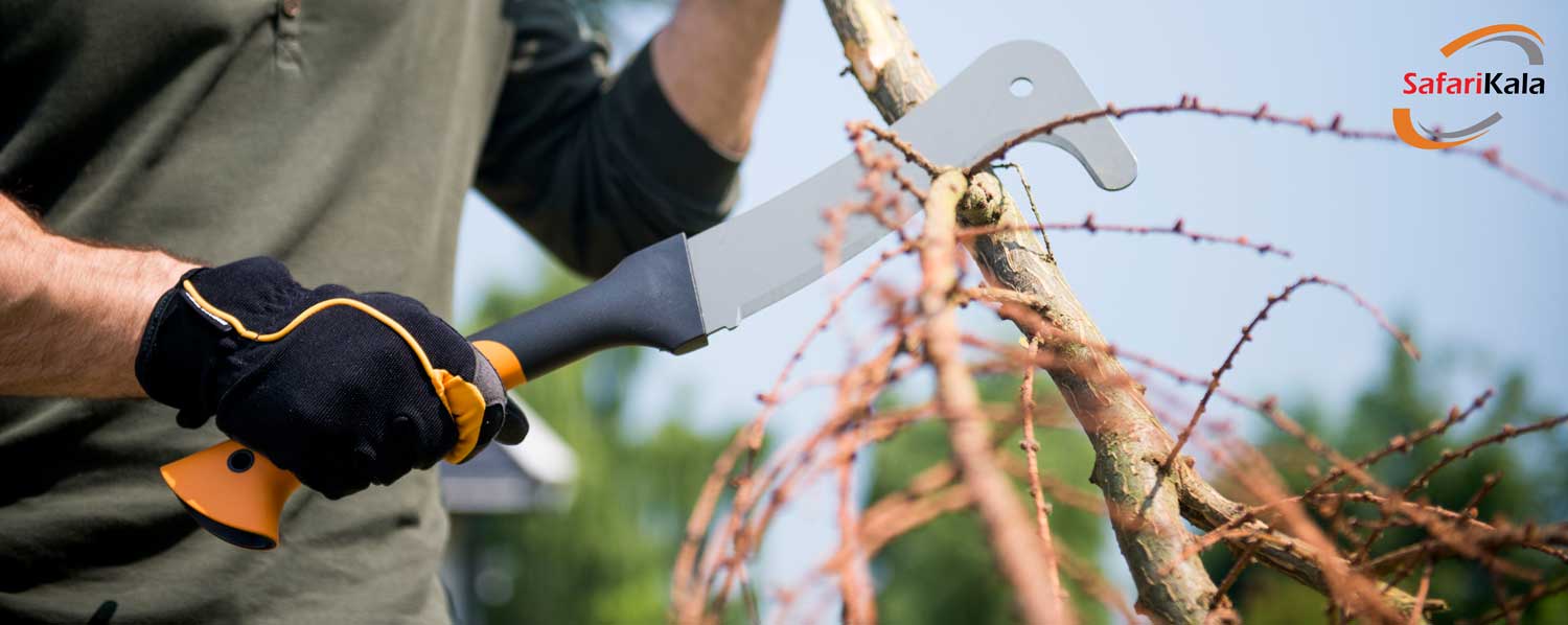 داس فیسکارس