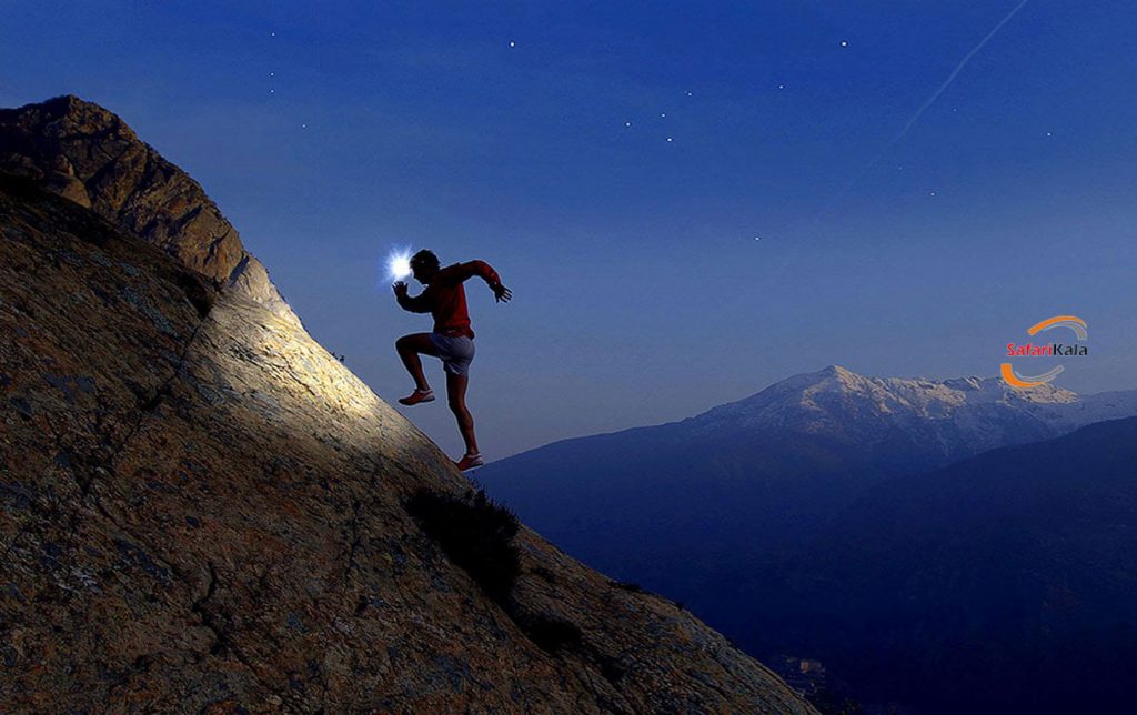 محصولات پتزل