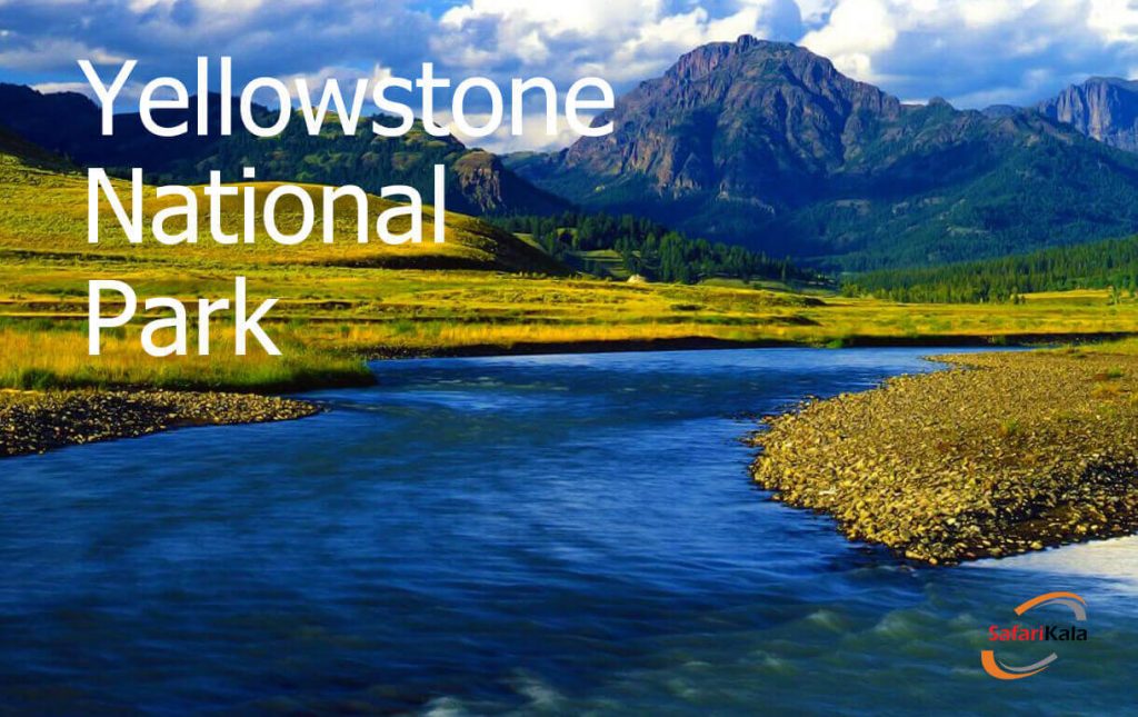 پارک زیبای یلواستون